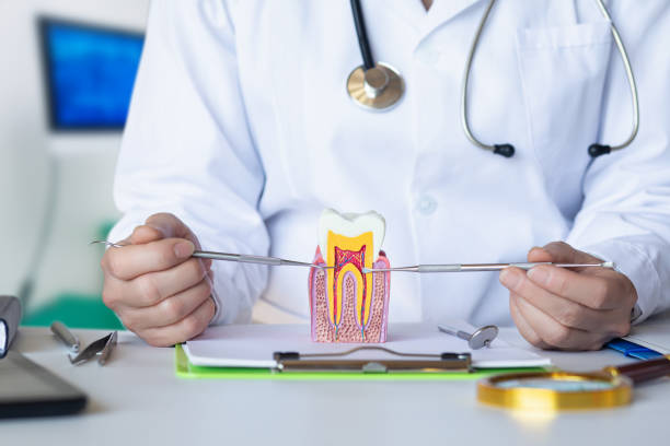 Best Weekend Emergency Dentist in Neenah, WI